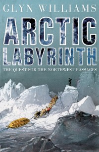 Cover Arctic Labyrinth