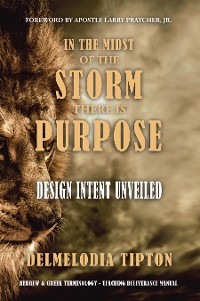 Cover In the Midst of the Storm There Is Purpose