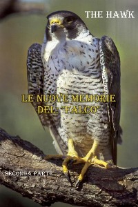 Cover Le nuove memorie del: "Falco"  - seconda parte