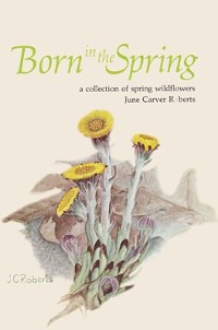 Cover Born in the Spring