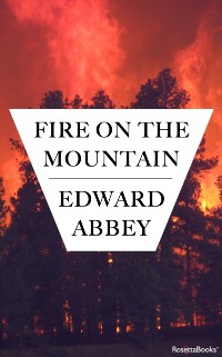 Cover Fire on the Mountain
