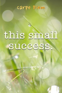 Cover This Small Success