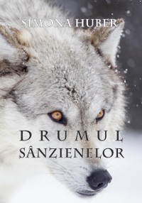 Cover Drumul Sanzienelor