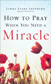 Cover How to Pray When You Need a Miracle