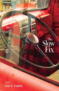 Cover The Slow Fix