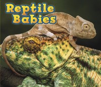 Cover Reptile Babies