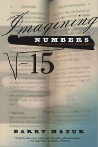 Cover Imagining Numbers