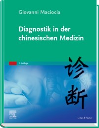 Cover Diagnostik in der chinesischen Medizin