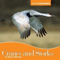 Cover Cranes and Storks