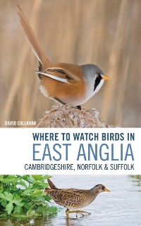Cover Where to Watch Birds in East Anglia