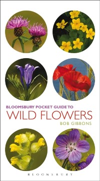 Cover Pocket Guide To Wild Flowers