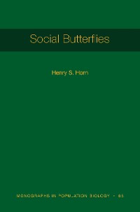 Cover Social Butterflies