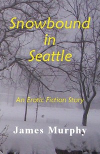 Cover Snowbound in Seattle