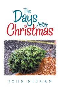 Cover The Days After Christmas