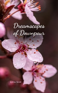 Cover Dreamscapes of Downpour