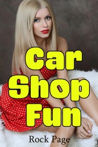 Cover Car Shop Fun