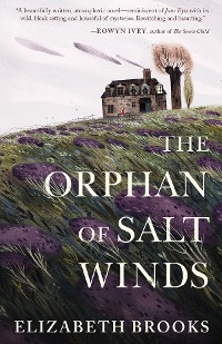 Cover The Orphan of Salt Winds