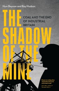 Cover Shadow of the Mine