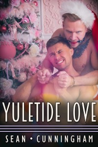 Cover Yuletide Love