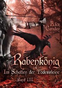 Cover Im Schatten der Todessteine 3: Rabenkönig