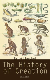 Cover The History of Creation (Vol.1&2)