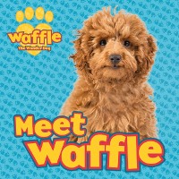Cover Meet Waffle!