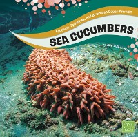 Cover Sea Cucumbers