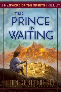 Cover Prince in Waiting
