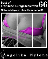 Cover Erotische Kurzgeschichten - Best of 66