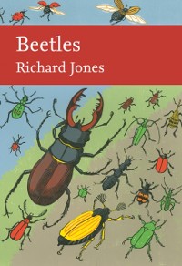 Cover Beetles