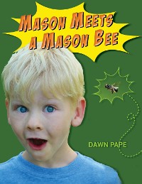 Cover Mason Meets a Mason Bee