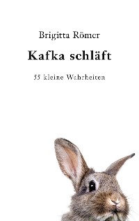 Cover Kafka schläft