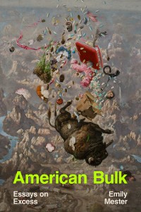 Cover American Bulk: Essays on Excess
