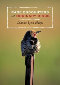 Cover Rare Encounters with Ordinary Birds
