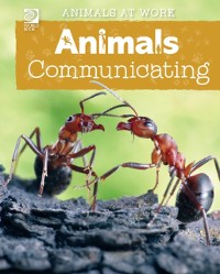 Cover Animals Communicating