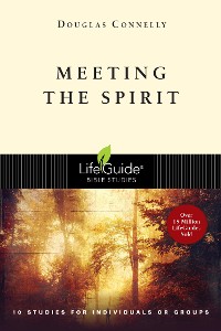 Cover Meeting the Spirit