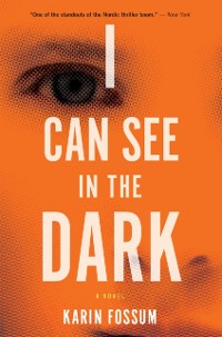 Cover I Can See In The Dark
