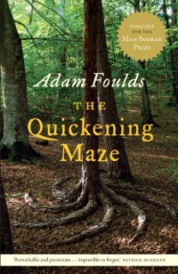 Cover Quickening Maze