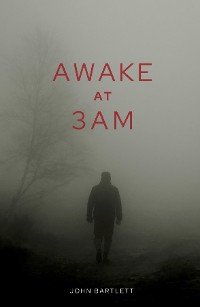 Cover Awake at 3 a.m.