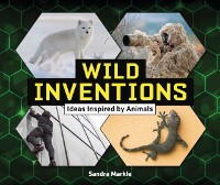 Cover Wild Inventions