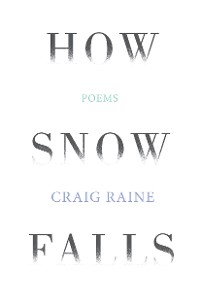 Cover How Snow Falls