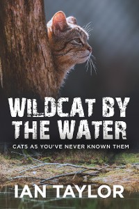 Cover Wildcat By The Water