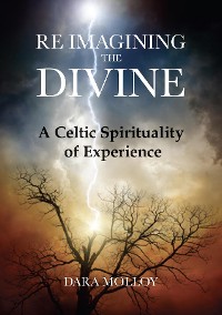 Cover Reimagining The Divine