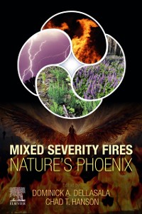 Cover Mixed Severity Fires