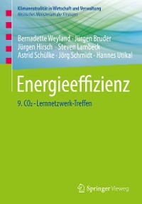 Cover Energieeffizienz