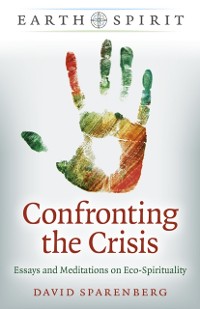 Cover Confronting the Crisis