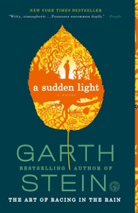 Cover Sudden Light