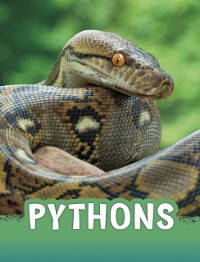 Cover Pythons