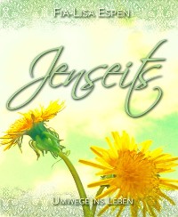 Cover Jenseits