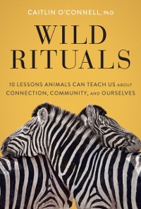 Cover Wild Rituals